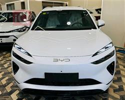 بي واي دي سيليون 06 DM-i